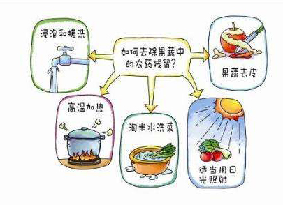 如何减少农药污染去除农药残留？振华化工总结以下几点分享给大家